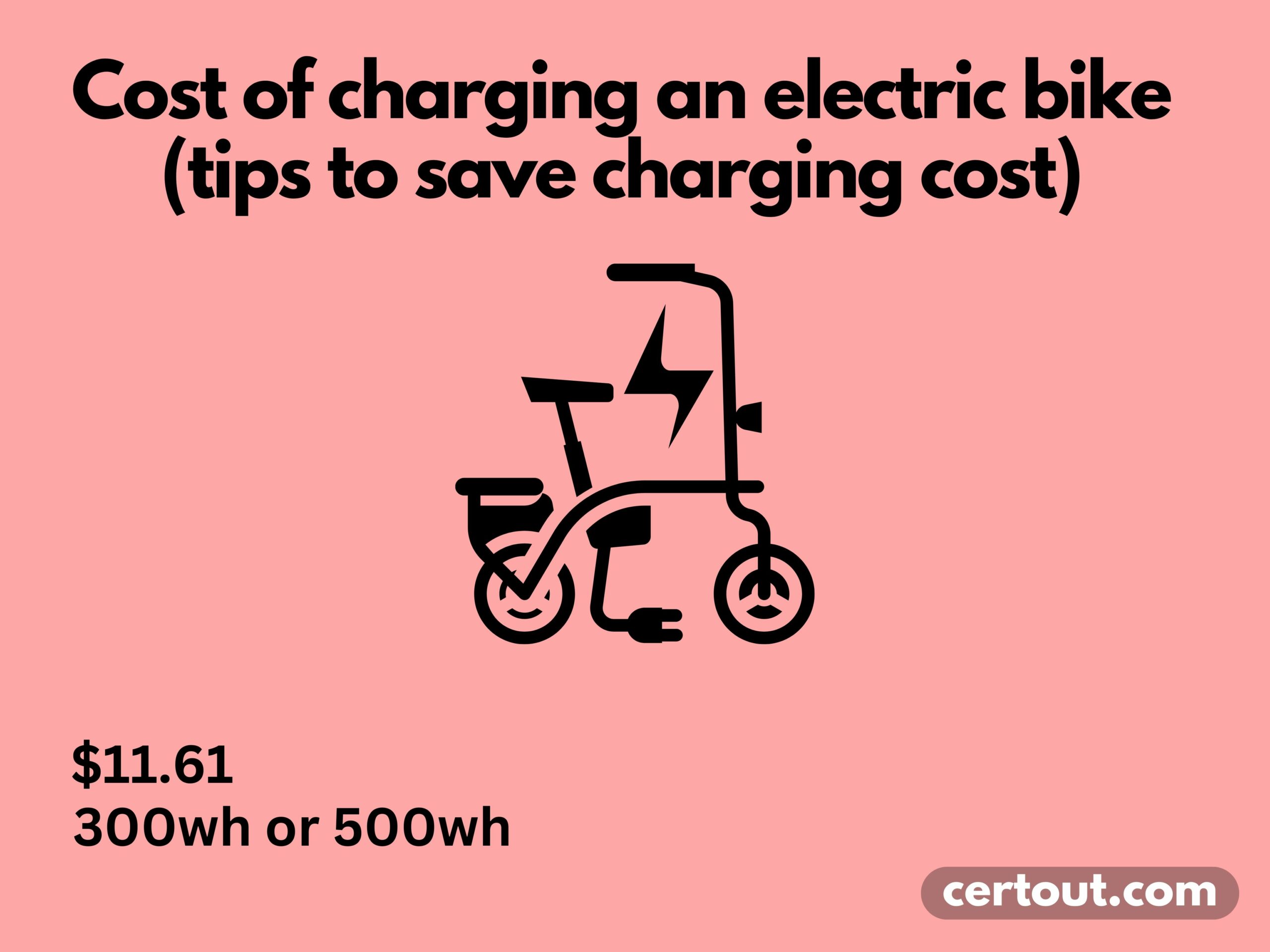 save the electric bike battery
